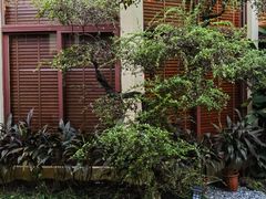 -小榄人家酒楼(民安店)