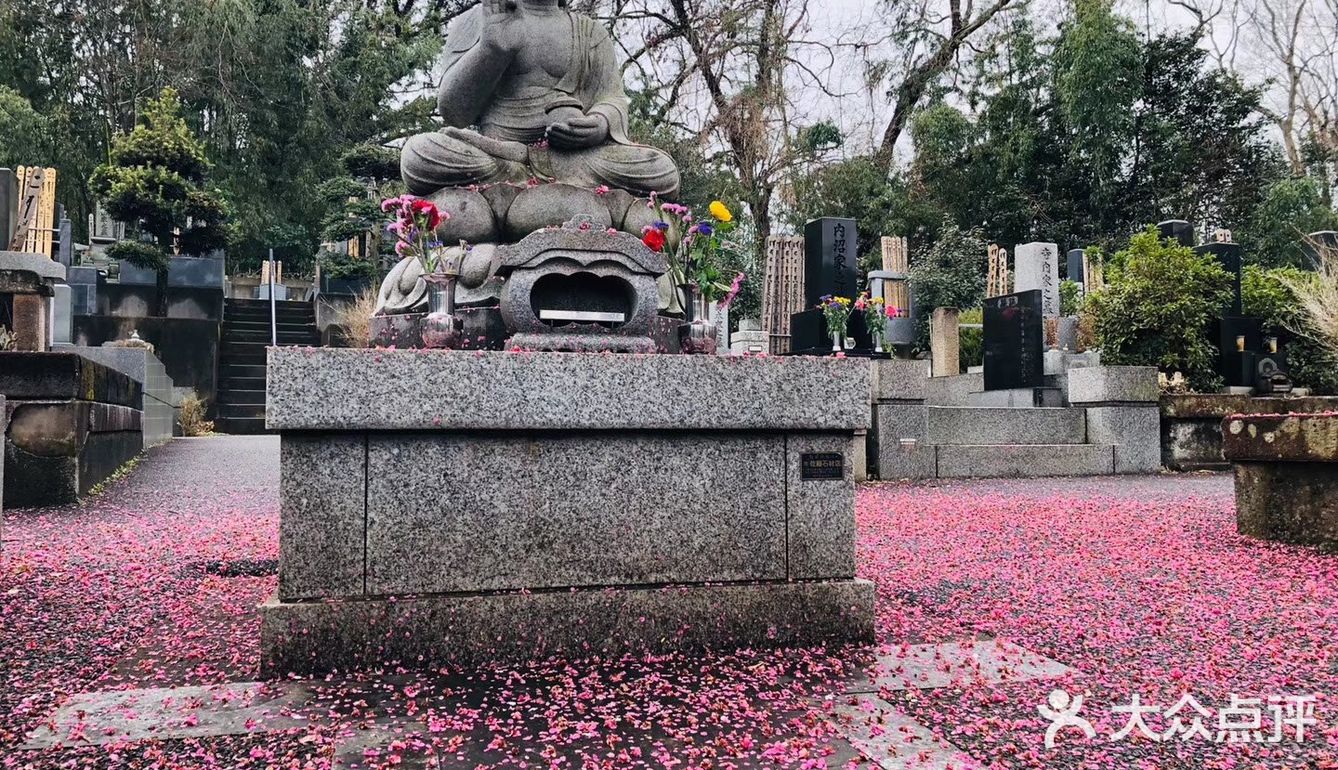 无名的神社，读书的花园