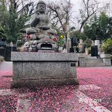 无名的神社，读书的花园