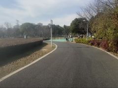 -九里河湿地公园