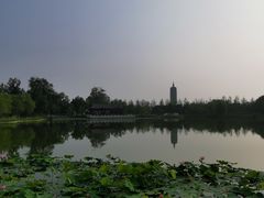 -西海子公园