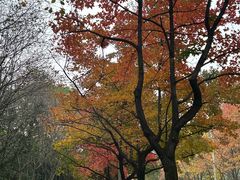 -浙江理工大学（下沙校区）游泳馆