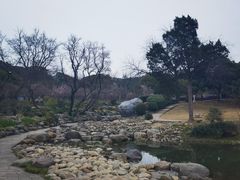 -无锡梅园公园