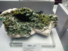 -湖南省地质博物馆