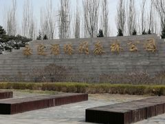 -永定河休闲森林公园