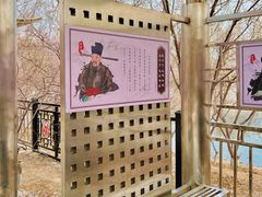 -桃花堤公园