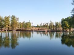 -贡湖湾湿地公园