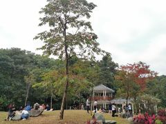 -火炉山森林公园