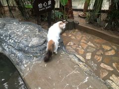 -龙达温泉生态城
