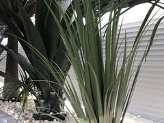 -兰湘子·湘菜小炒(崂山丽达店)