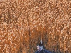 -野鸭湖国家湿地公园