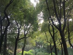 -宋庆龄陵园