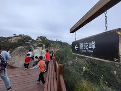 -大岭沟猕猴桃谷风景区