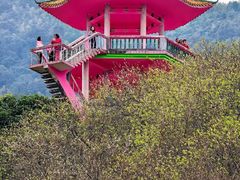 -广州市流溪河国家森林公园