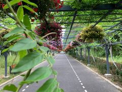 -东平国家森林公园