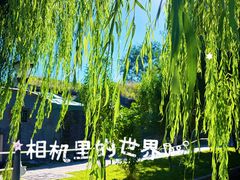 -春风习习