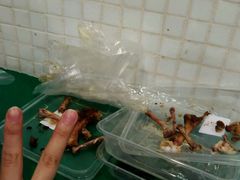 -孖记茶档·热腾茶餐(荔湾领展广场店)