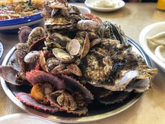 海鲜拼盘-北方饺子王·海肠捞饭·海鲜锅(山大店)