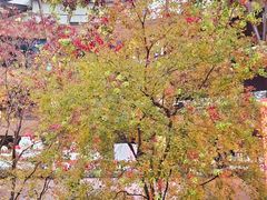 -瑞虹新天地月亮湾