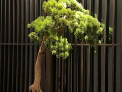 -见康道莱•足浴按摩•艾灸•SPA(友谊店)