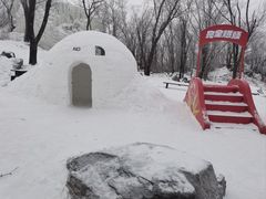 -中旅松花湖滑雪场