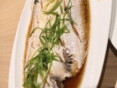 -Isla Sugbu Seafood City