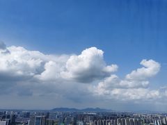 -悦厅·下午茶(杭州柏悦酒店)