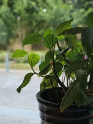 -香秀空间科技抗衰·美容中心