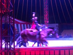 -无锡动物园·太湖欢乐园