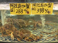 水产区-顺德了能馆(虎门店)