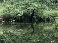-拙政园