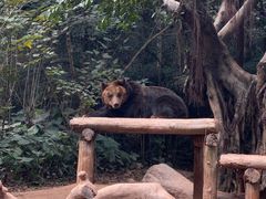 -广州长隆野生动物世界