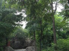 景点-阳台山自然风景区