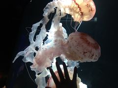 -成都浩海立方海洋公园