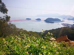 -花竹村