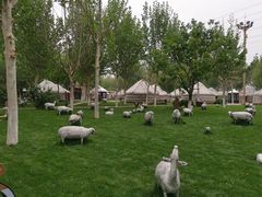 -九十九顶毡房(阜石路店)