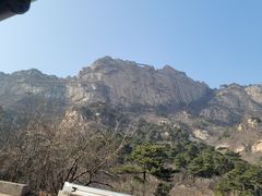 -大芦花风景区