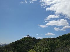 -荣德灶台鱼(圣泉寺店)