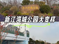 -新江湾城公园