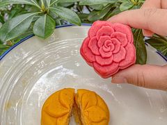 -良枫友信(陈家祠店)