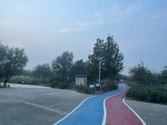 -绿堤公园