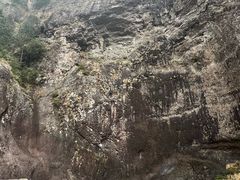 -雁荡山雁湖景区