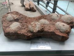 -中国地质大学逸夫博物馆