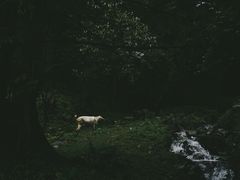 -硗碛藏寨·神木垒景区