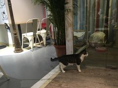 -小时光咖啡馆(开森度假森林店)