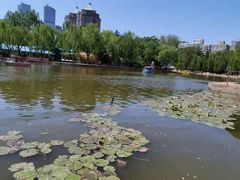 -团结湖公园