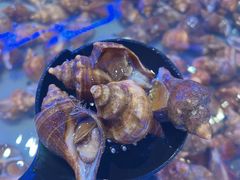 -澜悦港海鲜体验主题餐厅