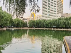 -团结湖公园