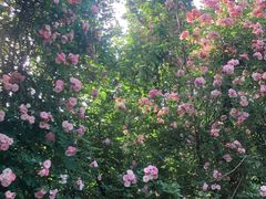 -南山风景名胜区