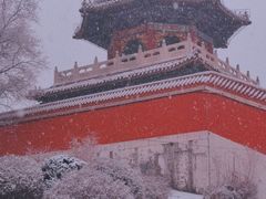 -二一九公园